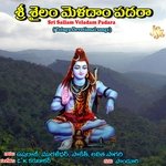 Sri Sailam Veladam Padara - Kushi Muralidhar Song Download