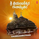 Sri Trimbakeshwar Gaanaamrutham Album Download