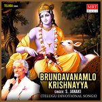 Brundavanamlo Krishnayya Album Download