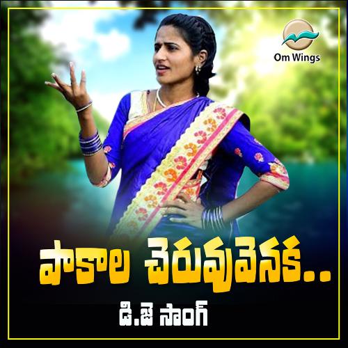 Pakala Cheruvu Venuka Dj Sonng Nagam Parshuramulu MP3 Download