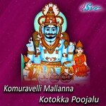 Komuravelli Mallanna Kotokka Poojalu Album Download