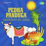 Pedha Panduga - Sankranthi Spl Songs - A. Anasuya Devi Song Download