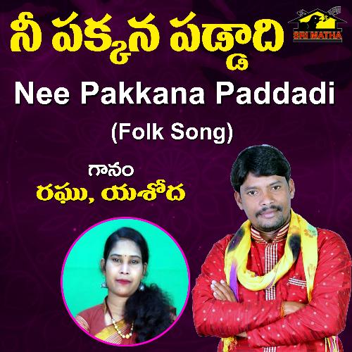 Nee Pakkana Paddadi Raghu MP3 Download
