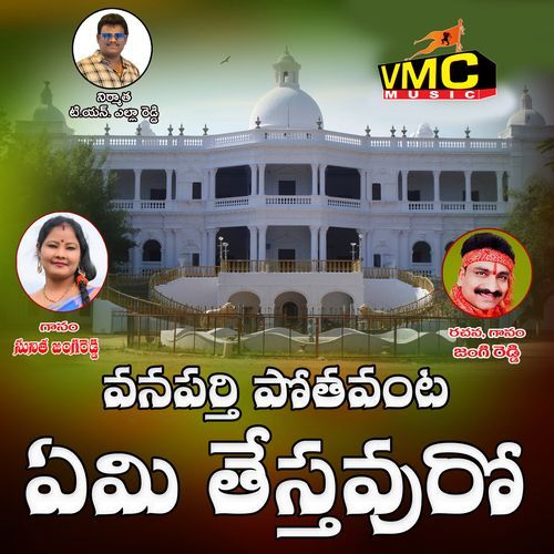 Vanaparthi Pothavanta Emi Testavuro Jangi Reddy MP3 Download