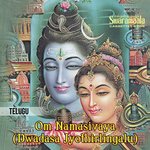 Om Namasivaya (Dwadasa Jyothirlingalu) Album Download