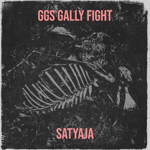Ggs Gally Fight Satyaja MP3 Download