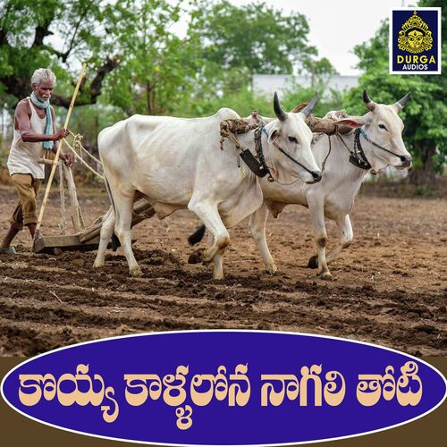 Koyya Kallalona Nagalithoti Gadipe Mallesh MP3 Download