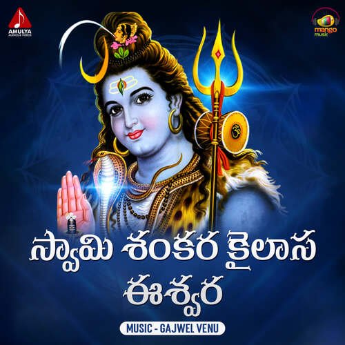 Swamy Shankara Gajwel Venu MP3 Download