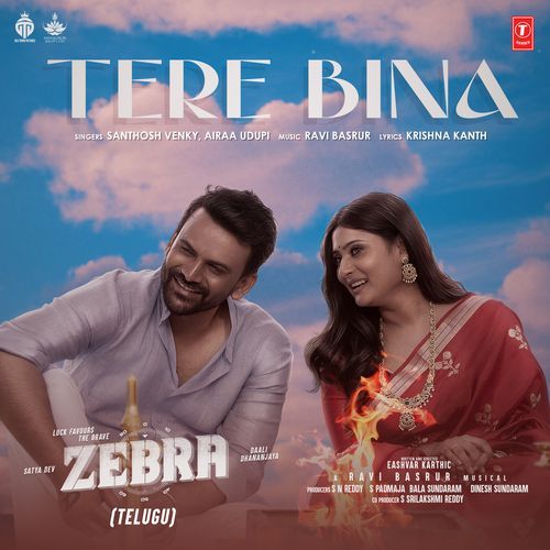 Tere Bina Santhosh MP3 Download