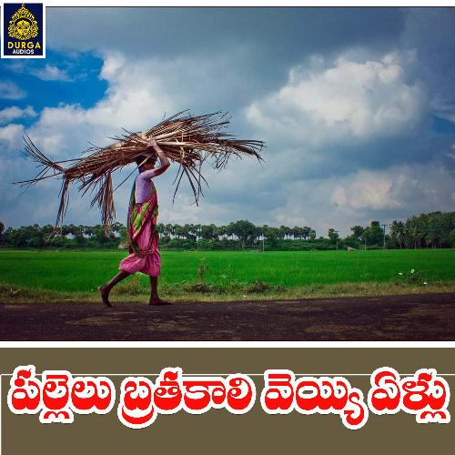 Pallelu Brathakali Veyyi yellu A.Jai Srinivas MP3 Download