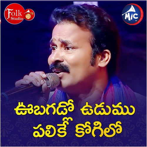 Ubagadlo udumu palike kokila Veknkateshwarlu MP3 Download