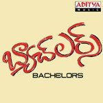 Bachelors Album Download