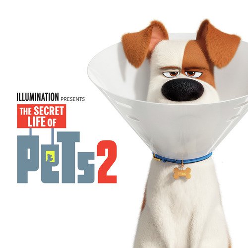 Jack Antonoff Songs MP3 Download