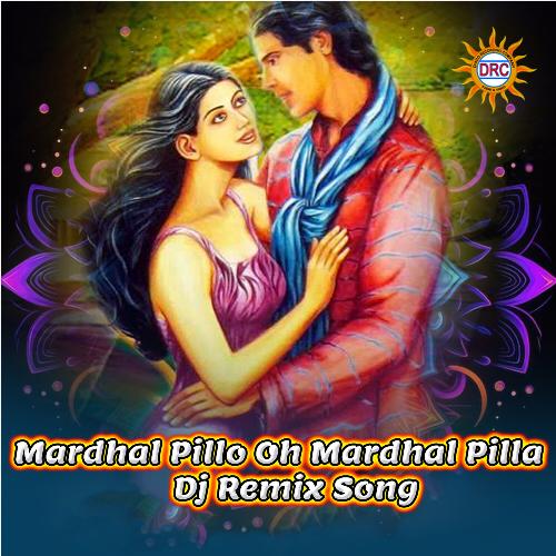 Mardhal Pillo Oh Mardhal Pilla (DJ Remix Song) V.N. Reddy MP3 Download