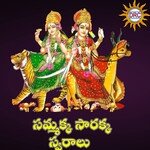 Sammakka Sarakka Swaralu Album Download