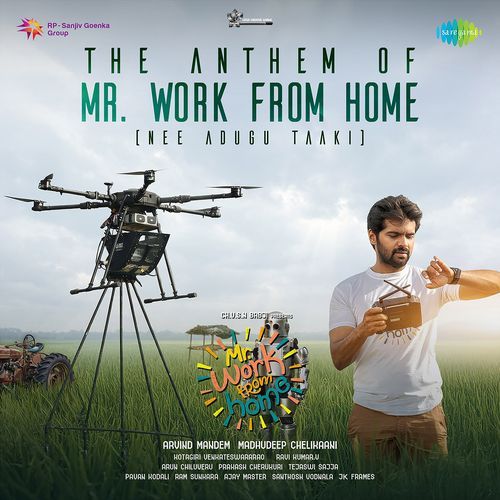 The Anthem Of Mr. Work From Home (Nee Adugu Taaki) Dhanunjay MP3 Download
