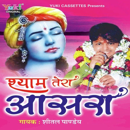 Sheetal Pandey Songs MP3 Download