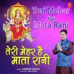 Sandeep Bansal Songs MP3 Download