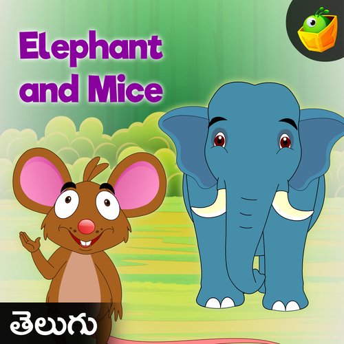 Elephant And Mice Magicbox MP3 Download